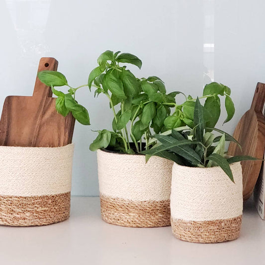 Handwoven Wicker Storage Basket • Savar Bin-Set of 3