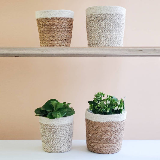 Handwoven Storage Basket • Agora Plant Basket - White