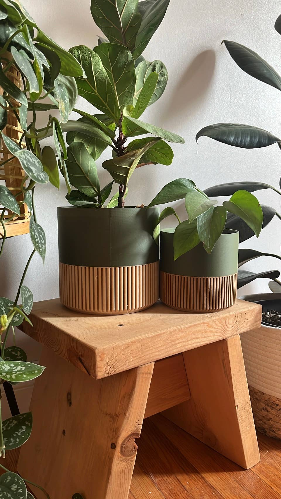 Two-toned Wood & Colour (Olive) Plant Pot