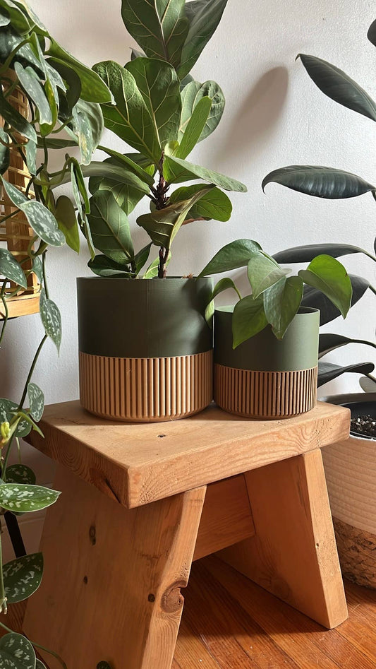 Two-toned Wood & Colour (Olive) Plant Pot