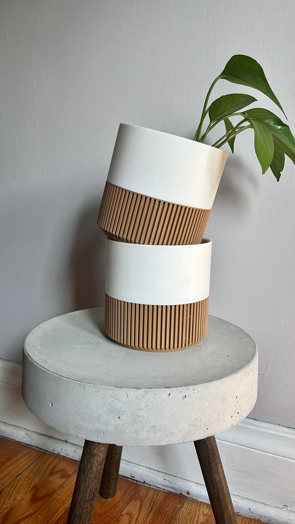 Two-toned Wood & Colour (Olive) Plant Pot