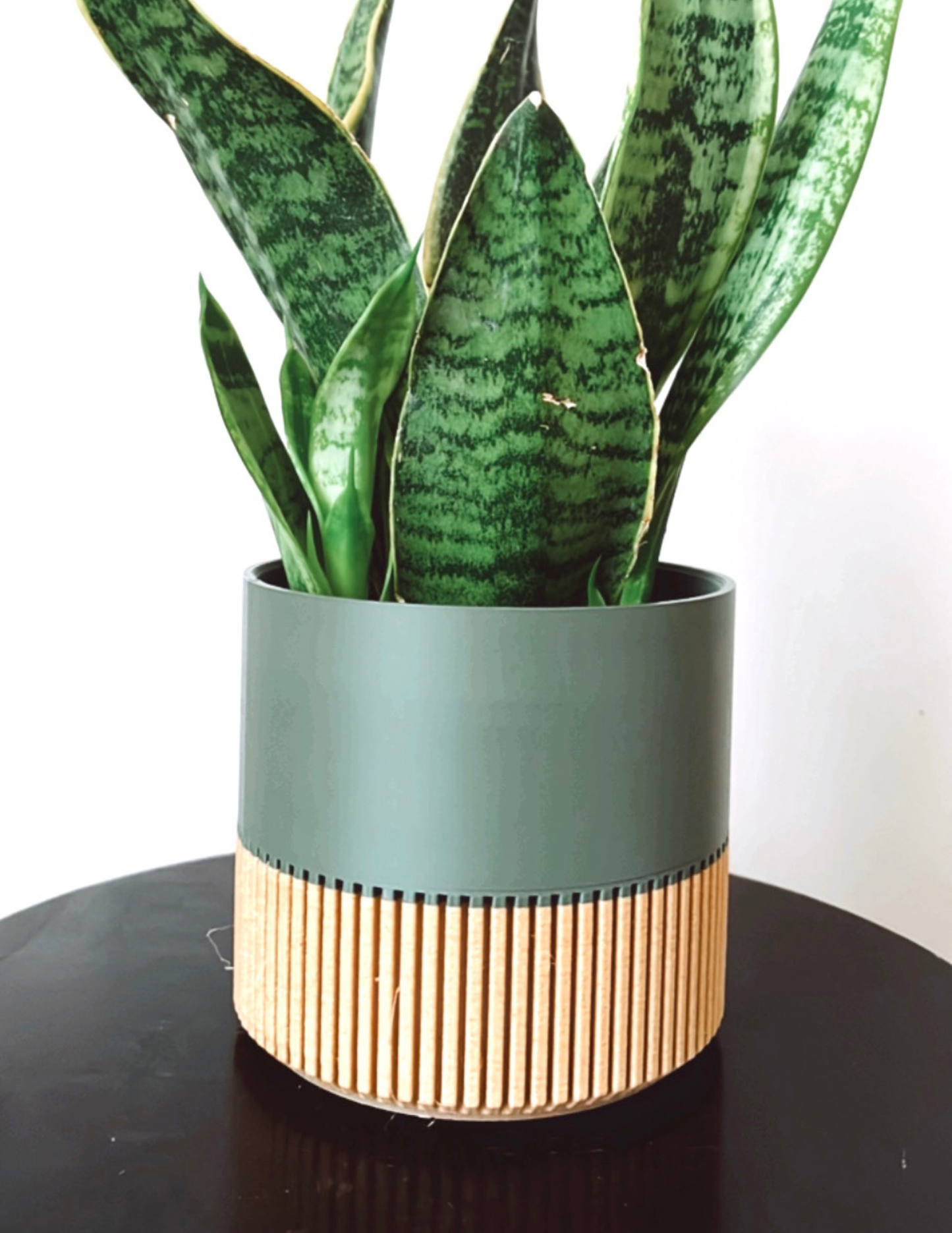 Two-toned Wood & Colour (Olive) Plant Pot