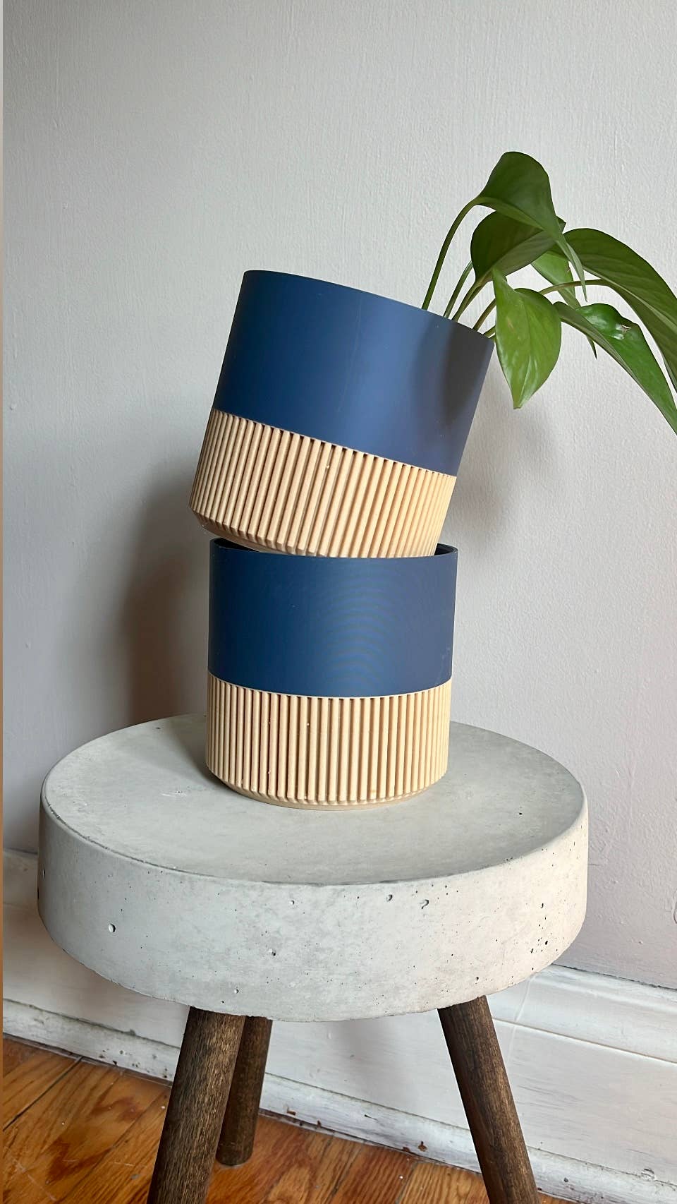 Two-toned Wood & Colour (Olive) Plant Pot