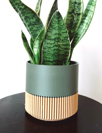 Two-toned Wood & Colour (Olive) Plant Pot 